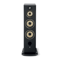 Focal Aria Evo X N°4 variant 5