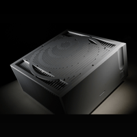 Ypsilon Electronics Aelius II Monoblock variant 4