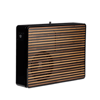 REL Acoustics Planar PL-2 variant 5
