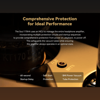 Cayin Soul 170HA variant 24