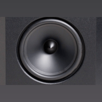 MartinLogan ElectroMotion  FX2 variant 3