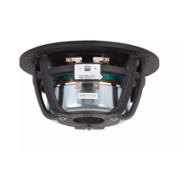 Morel Hifi ECW 536 variant 3