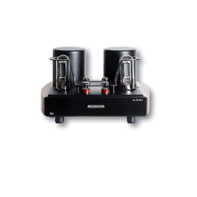 Mastersound Monoblock 845 (pair)