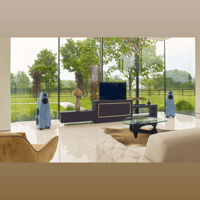 Meridian DSP9 variant 6