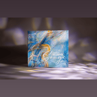 Apos x Songe by Vincent Bélanger [CD] variant 4