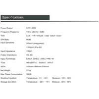 Cayin CS-845A variant 6