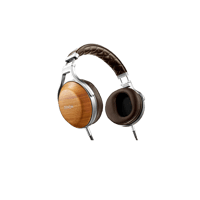 Denon AH-D9200 variant 2