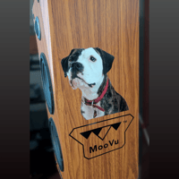 Gingko Audio MooVu Speaker Kit variant 1