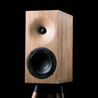 Buchardt Audio E50 variant 30