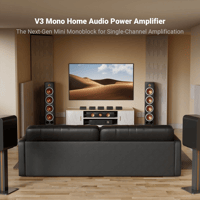 Fosi Audio Fosi Audio V3 Mono Monoblock Power Amplifier variant 7