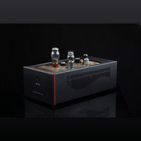 SW1x MPA III “Oracle” Mono Power Amplifier variant 19