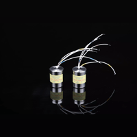 SW1x Audio Transformers variant 22