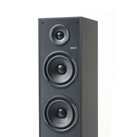 Elipson HORUS 11F variant 6