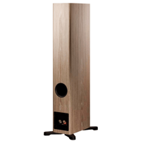 Dynaudio Evoke 30 variant 19