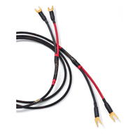 Audience Studio ONE S/PDIF variant 4