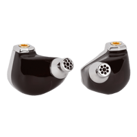 Campfire Audio Astrolith - Dual Planar IEM variant 4