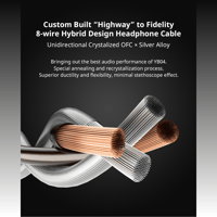 Cayin YB04 variant 6