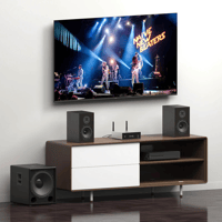 Arylic A50+ 50W x 2 Streaming Amplifier variant 9