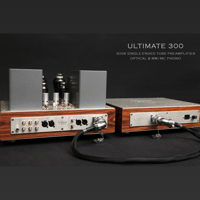 ThivanLabs ULTIMATE 300 – 300B Single-Ended Tube Preamplifier Optical & MM-MC Phono variant 8