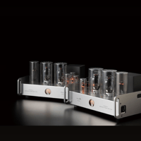 Allnic/ZL Technologies M-2500 variant 1