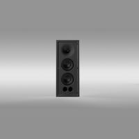 Theory Audio Design iw25 High-Output In-Wall Loudspeaker System variant 1