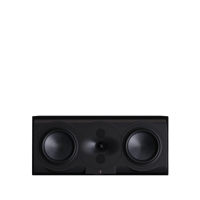 Perlisten R5c variant 1