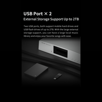 Aune S10N  Network Music Player variant 20