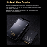 Cayin R01 R-2R Audio Motherboard variant 2