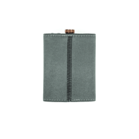 ifi Audio hip-case variant 4