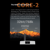 Aune S10N  Network Music Player variant 10