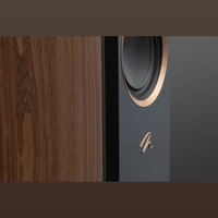 MartinLogan Motion F10 variant 24