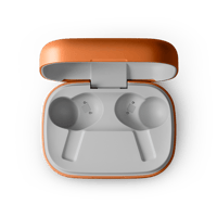 B&O-Bang & Olufsen  Beoplay Eleven variant 6