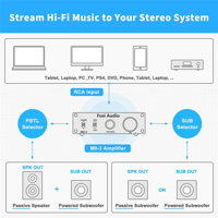 Fosi Audio Fosi Audio M03 Subwoofer Mono Amplifier variant 7