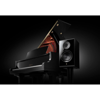 Yamaha NS-800A variant 7