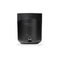 Bluesound PULSE M variant 4