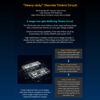 Cayin C9ii Titanium Color Edition variant 6