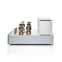 Black Ice Audio Fusion F100 Mono Block Tube Power Amplifier(Pair) - 175 WPC* variant 5