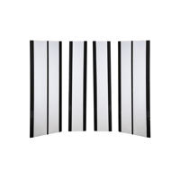 Magnepan 30.7 variant 6