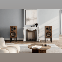 Revival Audio ATALANTE 7 Évo variant 5