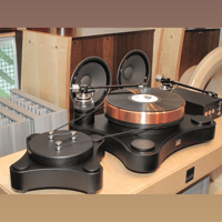 TW-Acustic Raven Black Night variant 5