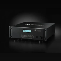 Eleven XI Audio SagraDAC2  Discrete R-2R DAC variant 5