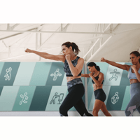 Primacoustic TelaScapes Tracks variant 2