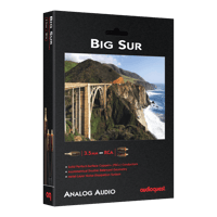 AudioQuest Big Sur 3.5mm Mini > RCA variant 2