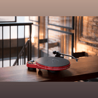 Pro-Ject Audio Systems RPM 3 Carbon variant 2