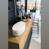 Yamaha MusicCast 50 variant 15