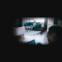 Magnat Alpha RS 12 variant 19