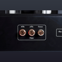 Mastersound PF 200 litz (coppia) variant 11