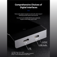 Cayin N6ii variant 9