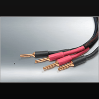 VTV Amplifier Accusound ONES Speaker Cables BFA Connectors 10 Foot variant 2