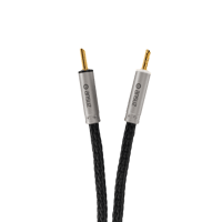 Ansuz Acoustics Speakz - Steel variant 1